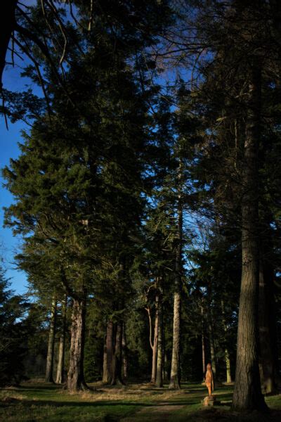 The Macbeth Trail at Glamis Castle | Glamis Castle, Angus, Scotland