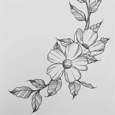 Beautiful Creative Simple Flower Designs For Pencil Drawing : That's ...