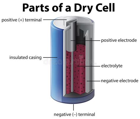 Diagram Showing Inside of Battery Stock Vector - Illustration of ...