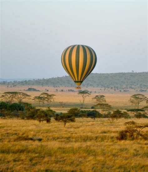 Masai Mara & Serengeti Safari | 7 Days | Safari Guide Africa