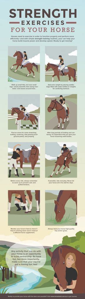 Top 5 Ways to Exercise Your Horse | Strength workout, Horse exercises, Horse care