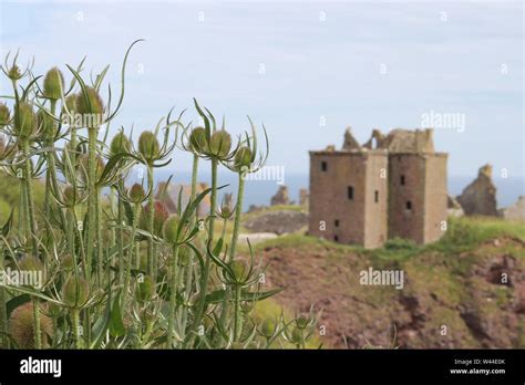 Dunnottar Castle, Scotland Stock Photo - Alamy