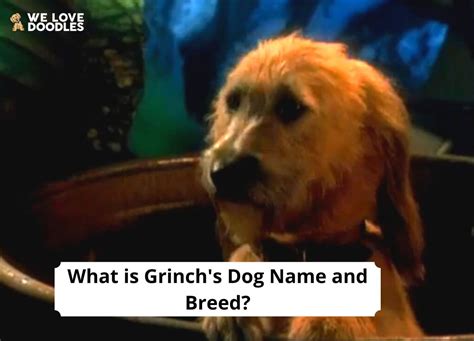 What is Grinch’s Dog Name and Breed?