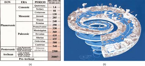 The Evolutionary History of the Animal Kingdom | Biology I