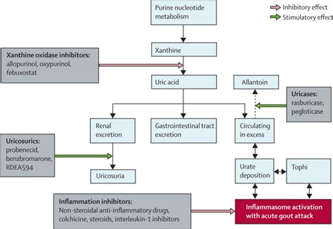 Gout therapeutics: new drugs for an old disease - The Lancet