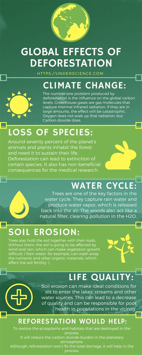 Tropical Rainforest Climate Facts