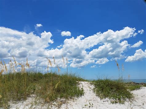 Beach Temperatures on the Central West Coast of Florida