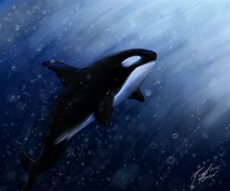 Underwater Orca by PandoraBox17 on DeviantArt