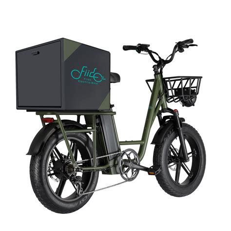 Fiido T1 750W 48V Utility Cargo Electric Bike - Zoom Electric Bikes