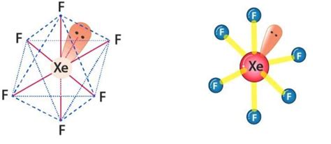 Can anyone send molecular shape of XeF6 - Brainly.in