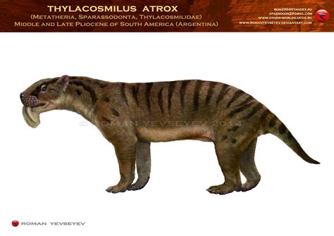 Thylacosmilus atrox by RomanYevseyev on DeviantArt