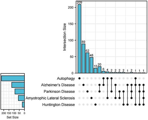 Frontiers | Role of microglia autophagy and mitophagy in age-related neurodegenerative diseases