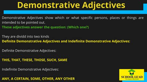 Demonstrative Adjectives - School Lead