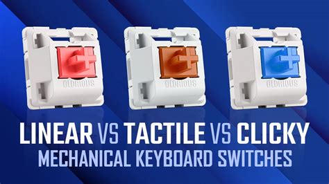 Linear vs. Tactile vs. Clicky Mechanical Keyboard Switches [There's One That Suits You Best]