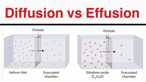 What is Difference Between Diffusion and Effusion - YouTube