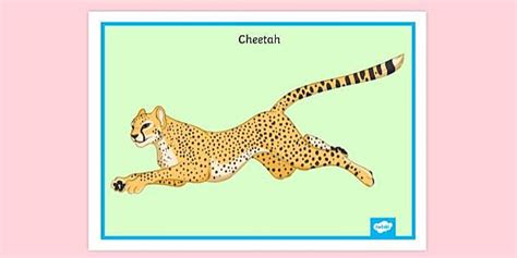 Pouncing Cheetah Poster | Primary Education Resources