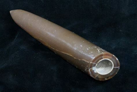 Large 7.5" Agatized Belemnite Fossil - Polished (#9454) For Sale - FossilEra.com