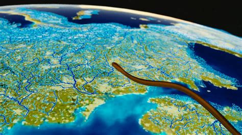 Migration cycle of European eel - YouTube