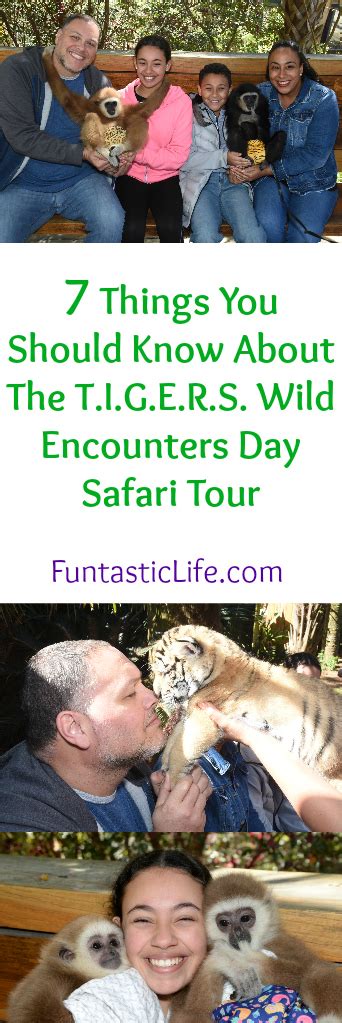 Our Myrtle Beach Safari Experience & 7 Things You Should Know - Funtastic Life