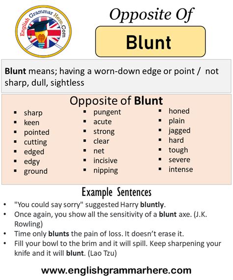 Opposite Of Blunt, Antonyms of Blunt, Meaning and Example Sentences ...