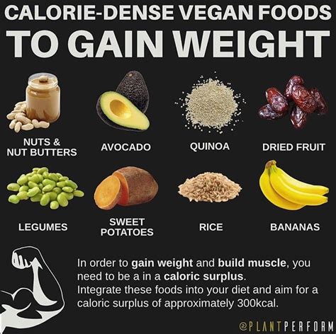 Calorie-dense vegan foods to gain weight : r/VeganWeightGain