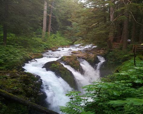 Ultimate Guide To Sol Duc Falls Trail in Washington For 2022 - Hiking Washington