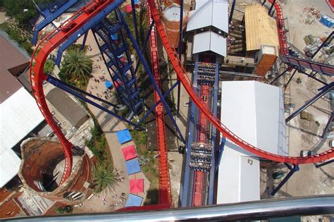 Looking down the first vertical drop on SheiKra at Busch Gardens Tampa ...