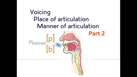 Voicing, Place & Manner of Articulation - Part 2 - YouTube