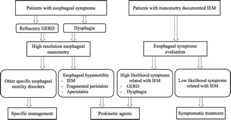 Frontiers | Management of Ineffective Esophageal Hypomotility