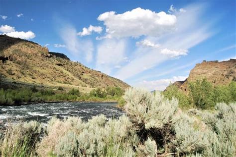 280+ Shoshone River Photos Stock Photos, Pictures & Royalty-Free Images ...