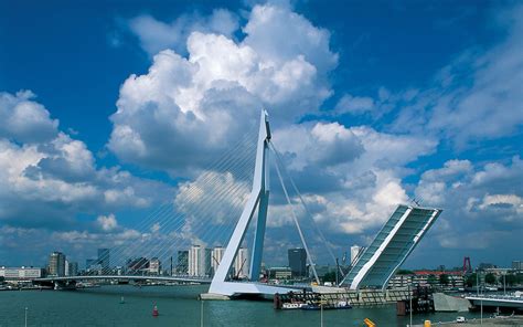 Erasmus Bridge | The Talks