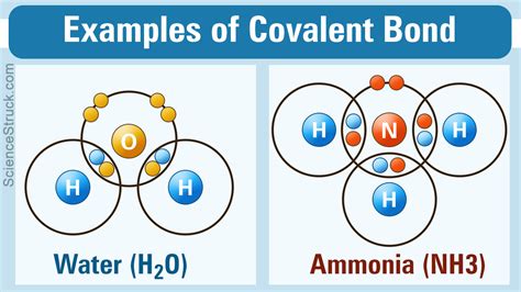 Covalent Compounds Examples At Home - EduForKid