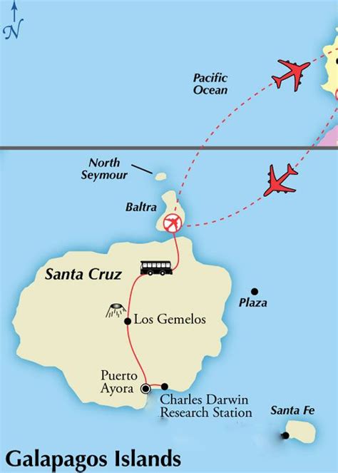 What's the Best Galapagos Airport? (3 Options) | Galapagos islands travel, Island travel, Galapagos