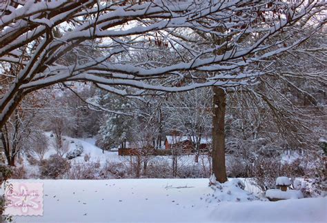 Carolyn in Carolina: Snowfall in Sylva Part 2