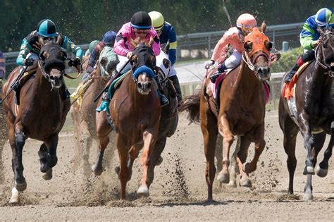 The Grand National in Liverpool - An Annual Horse Race Event at Aintree Racecourse – Go Guides