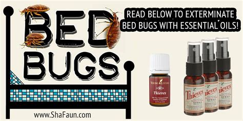 Exterminate Bed Bugs with Essential Oils! | Essential oil recipes, Essential oils aromatherapy ...