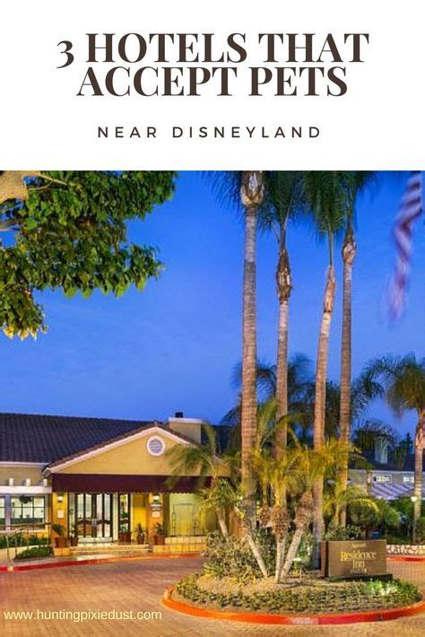 3 Hotels that accept pets | Disney resort hotels, Disneyland vacation, Disneyland tips