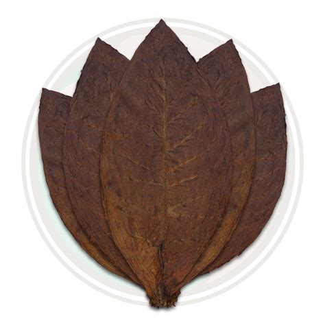 Colombian Binder Tobacco Leaf For Rolling Your Own Cigars - Cigar Leaf