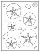 Best Ocean Sand Dollar Coloring Pages  Kids Activities Blog sketch template