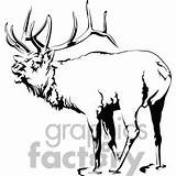 Elk Clip Art Pictures Vector Clipart Royalty Free Images  1 sketch template