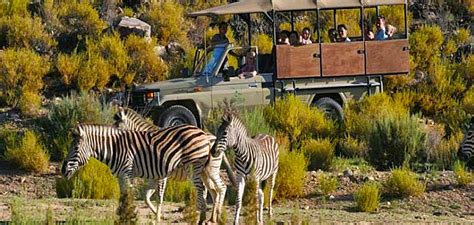 Cape Town Safaris and Accommodation Full List of Safari Options