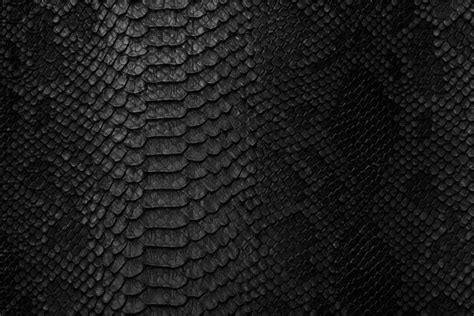 2,368 Black Beige Python Pattern Royalty-Free Images, Stock Photos ...