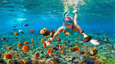 VC Tours - Scuba Libre Varadero | Ultimate Coral Beach Snorkeling