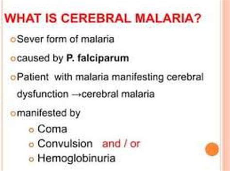 Cerebral malaria - MEDizzy