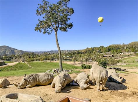 How to Buy Discount San Diego Zoo Safari Park Tickets: Top 14 Ways | La Jolla Mom