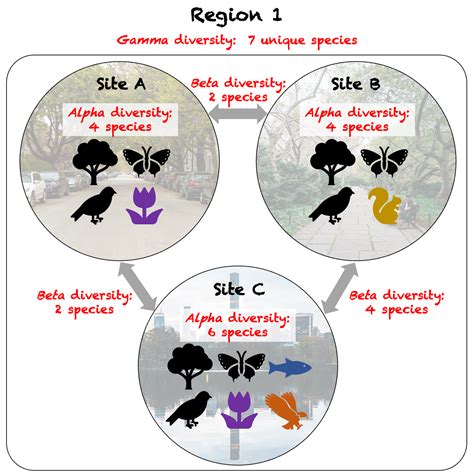 Biodiversity in cities: How can we assess the ‘performance’ of urban ...