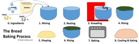 bread-making-process - Food Crumbles - The Food Science Blog