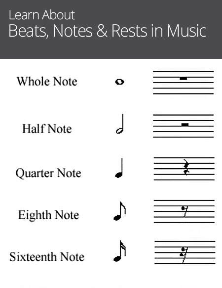 Beats, Notes & Rests in Music | Learn to Play Music | Pinterest