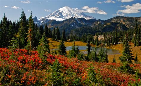 Mount Rainier, Best Fall Hikes, Events, Festivals and Deals | Visit Rainier