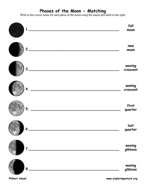 Matching Moon Phases Worksheet